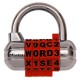 Master Lock 1534D Password Plus Set-Your-Own Combination Padlock