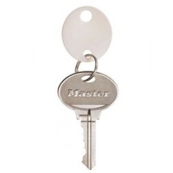Master Lock 7116D Plastic Key Tags