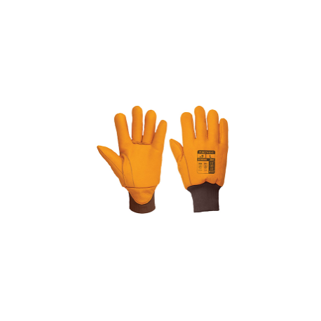 Portwest A245 Antarctic Insulatex Glove