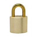Ranger Lock TL001-1L 1" Solid Brass, 3/8" Shackle, 5 Pin Padlock (ATF Compliant)