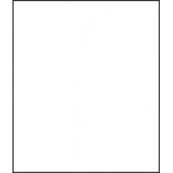 NMC BLR01AL PS Paper, Blank White Labels, 2-1/2 x 2-1/8, 500 Roll