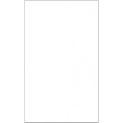 NMC IDL3A Overlaminate For IDL2 Label, 1" x 6", Clear Polyester, 40/Pk