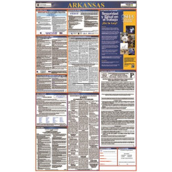 NMC LLPS Labor Law Poster (Spanish), State And Federal, 40" x 24"