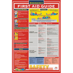 NMC PST002 First Aid Guide Poster, 18" x 24"