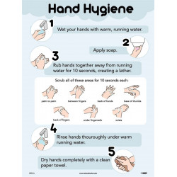 NMC PST112 Hand Hygiene Poster, 24" x 18"