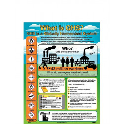 NMC PST GHS Intro, Workers & Timing Poster, 24" x 18", Poster Paper