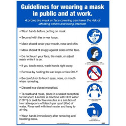 NMC PST Guidelines For Wearing A Mask Poster