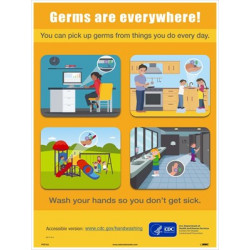 NMC PST Germs Are Everywhere Poster