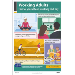 NMC PST196PP Working Adults: Caring For Yourself During A Pandemic Poster, 18" x 12", Paper, 5/Pk