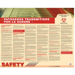 NMC SPPST005 Bloodborne Pathogens Poster (Spanish), 18" x 24", Paper